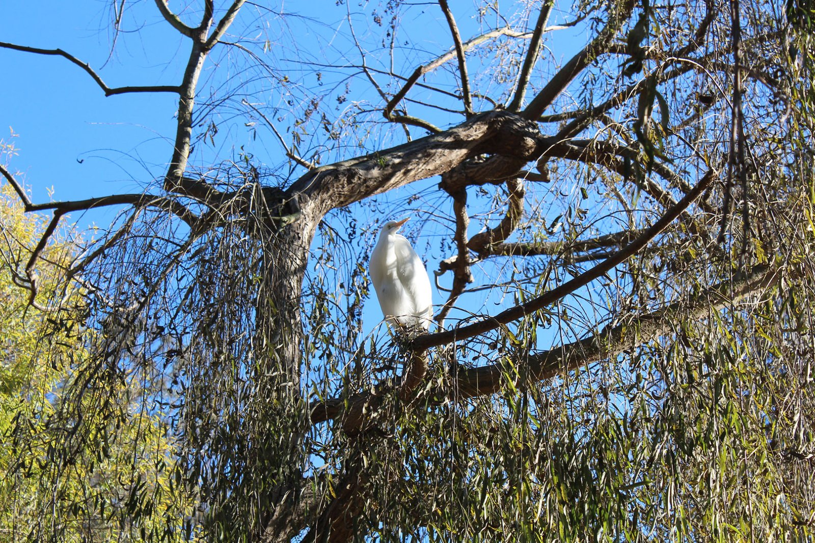 San Diego Zoo Part II 099